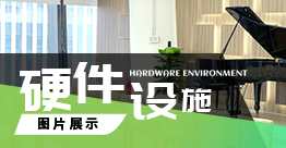 小提琴弦的选择与更换:品牌推荐与更换步骤详解