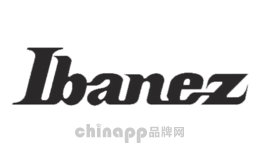 古筝选购指南：初学者如何选择适合自己的古筝
